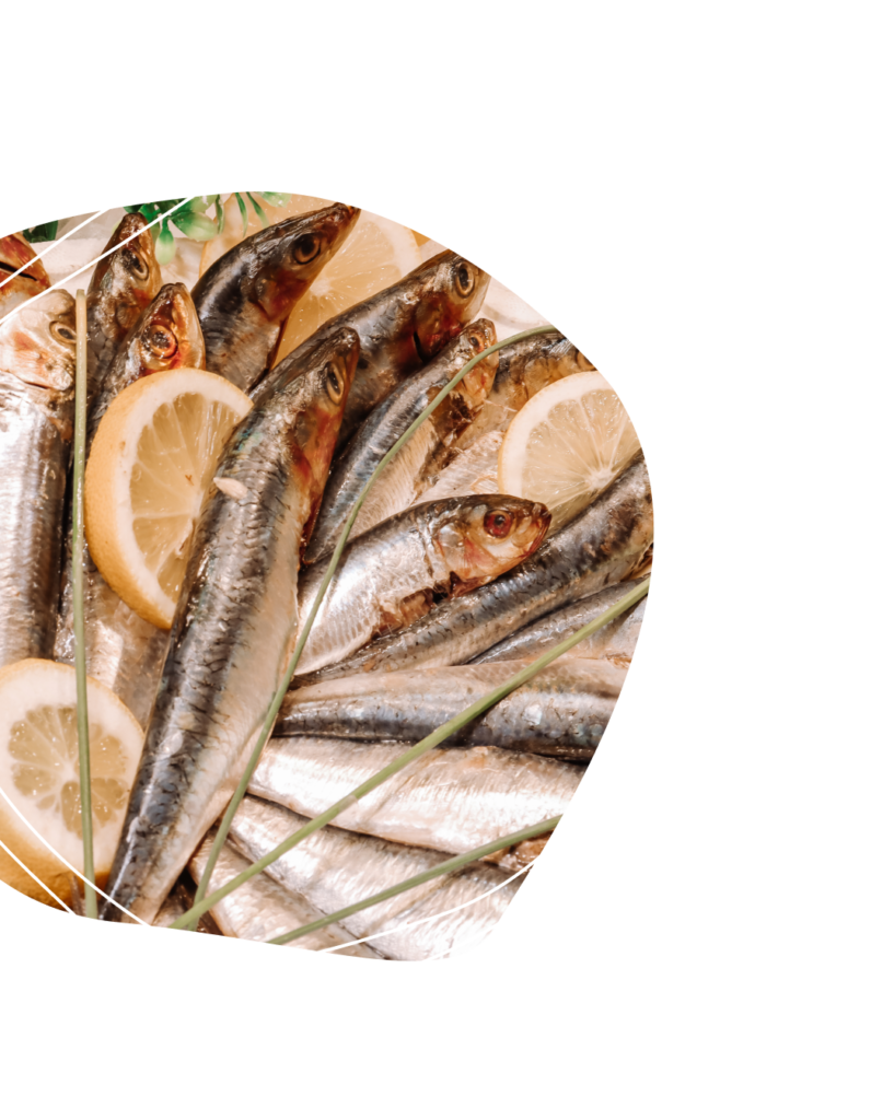 rond-sardine